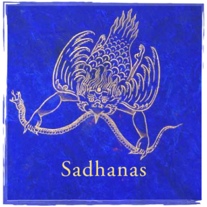 sadhanas